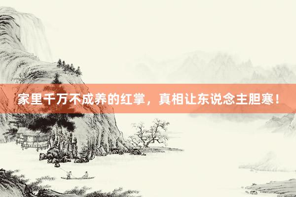 家里千万不成养的红掌，真相让东说念主胆寒！